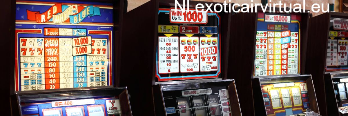 nl.exoticairvirtual.eu